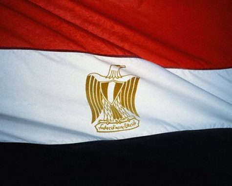 الانتخابات الرئاسية المصرية 2014