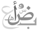 دليل الكتابة باللغة العربية